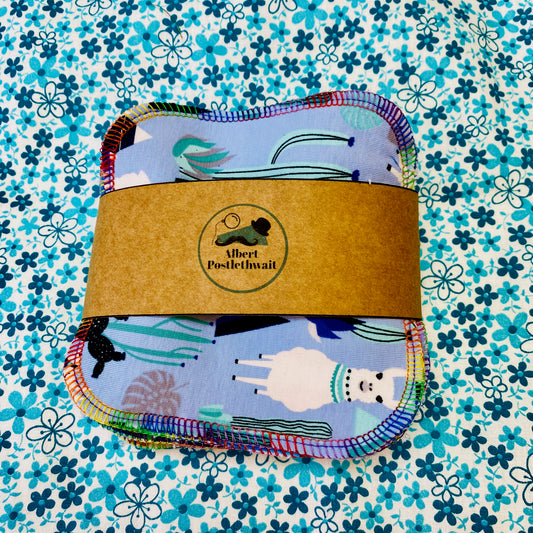 Set of 6 Mixed Wipes